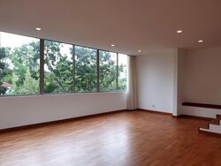 Nassim Regency (D10), Condominium #597102091